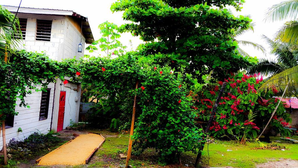 Casa Ricky'S Hostel Orange Walk Town Bagian luar foto