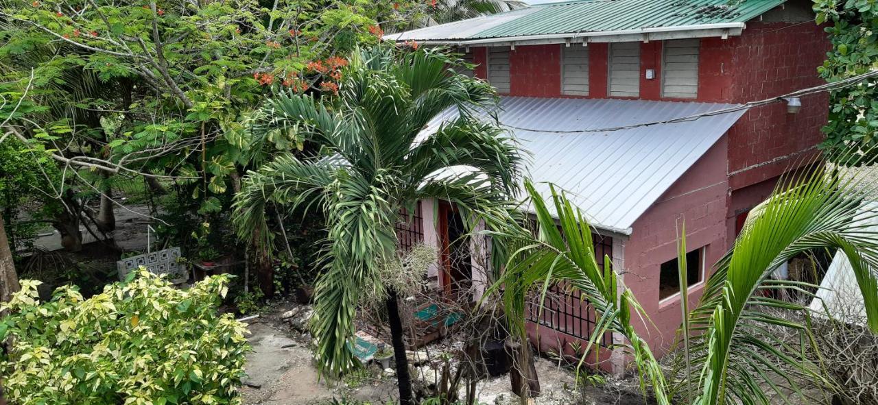 Casa Ricky'S Hostel Orange Walk Town Bagian luar foto